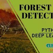Python Deep Learning Project Forest Fire Detection Using Deep Learning Algorithm ClickMyProject
