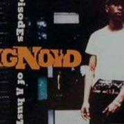 Big Noyd Recognize And Realize II