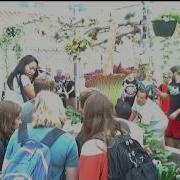 NCStateCALS Live Stream Corpse Flower Titan Arum