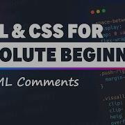 HTML CSS For Absolute Beginners HTML Comments