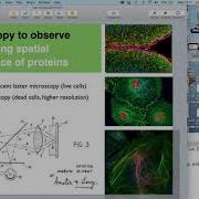 Julia Brettschneider Non Parametric Methods For Point Pattern Analysis Of Protein Abundances