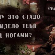 Последние ступеньки жизни Трагедия на Немиге 30 мая 1999 года