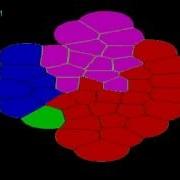 OpenCL With Matrix Studio Simulation Of A Cell Tissue Growth