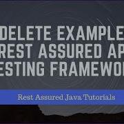 Rest Assured Automation Framework Delete Example