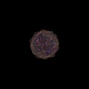 8D Rotations Of E8