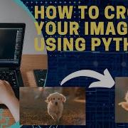 Python Pillow Tutorial How To Crop An Image Like A Pro