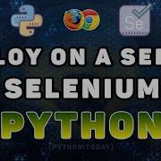 Python Selenium 10 Как запустить Selenium ChromeDriver на VPS сервере хостинге