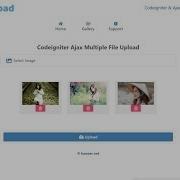 Codeigniter Ajax Multiple File Upload Download And Delete Demo