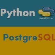 PostgreSQL Python Call PostgreSQL Stored Procedures