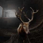 Platon Karataev Odaér Official Music Video