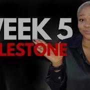 Week 5 Milestone ALX Virtual Assistant Programme Internet Research And Meeting Agenda Management