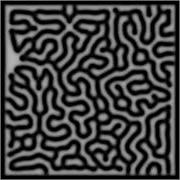 Generative Art Reaction Diffusion