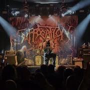 Suffocation Hymns From The Apocrypha Live Košice Slovakia 1 8 2024
