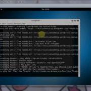 Wordpress Security Hardening Tutorial WPScan Vulnerability Assessment Login Brute Force