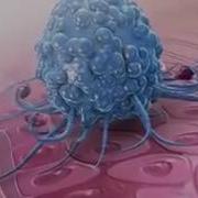 3D Animation How Our Wounds Heal