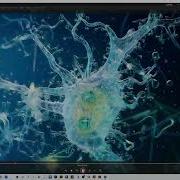 Building Dendritic Spines With NanoMesh In ZBrush