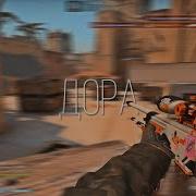 дора Csgo Fragmovie