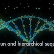 Shotgun And Hierarchical Sequencing Biochemistry Kinnaird College