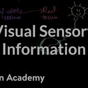 Visual Sensory Information Processing The Environment MCAT Khan Academy