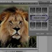 CrazyTalk Tutorial Face Profile Standby Motion