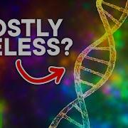 What Is Junk DNA And Why Do We Have So Much