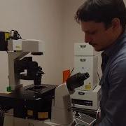 Confocal Microscopy Tutorial Part 1 Getting Started Basic Operation