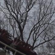 Python Efteling Offride FULL