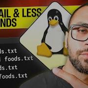 Mastering Linux Command Line Exploring Head Tail And Less Commands