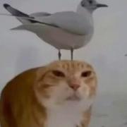 ㅤㅤㅤㅤBㅤㅤㅤㅤㅤㅤ