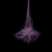 TouchDesigner Custom Interactive 3d Particle System