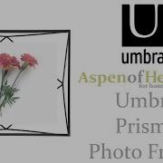 Umbra Prisma Photo Frame How To Insert A Picture