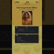 Awesome Image Hover Effects Using Only HTML CSS Htmlcss Csshovereffects Cssanimation Shorts
