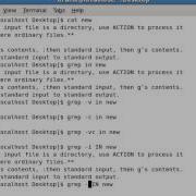 Unix Filters Commands Grep