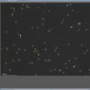 SCA Tutorial Interactive Modification