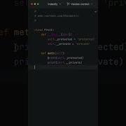 THIS Is HOW You Create PRIVATE PROTECTED Variables In Python