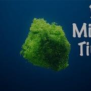 10 Minute Timer Count Up With Relaxing Music And Simple Graphics
