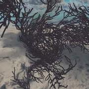 Unity 3D Tree Generation With L System Lindenmayer System