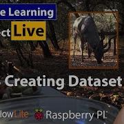 3 Working On Tensorflow Image Classification With Transfer Learning Dataset Gathering