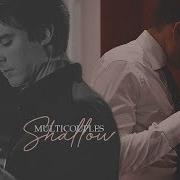 Multicouples Shallow Birthday Collab