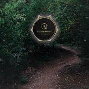 Nomyn Solace No Copyright Music
