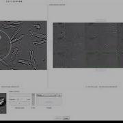 IonOptix MultiCell Cell Finding