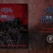 SEEPING PROTOPLASM JAPAN REPUGNANT ENTANGLEMENT Album Iron Fortress Records 2026