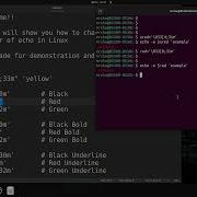 Echo Command Change Output Color BASH Scripting