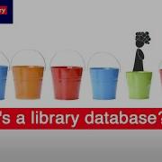 What S A Library Database