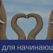 3 Установка веб сервера XAMPP в Windows 8 урок курса по программированию
