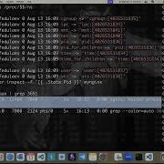 Побеги из контейнеров Docker Escape