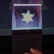 Python Turtle Graphics Shorts Shorts Ytshorts Programming
