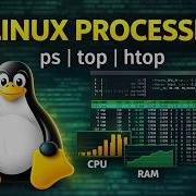 Linux Process Management Ps Top Htop Kill Commands