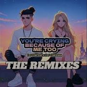 You Re Crying Because Of Me Too Ham Ilham Remix