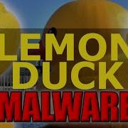 Cryptocoin Miner Unpeeling Lemon Duck Malware